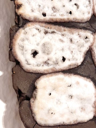 <p data-block-key="parbq">Mutated stone</p> preview