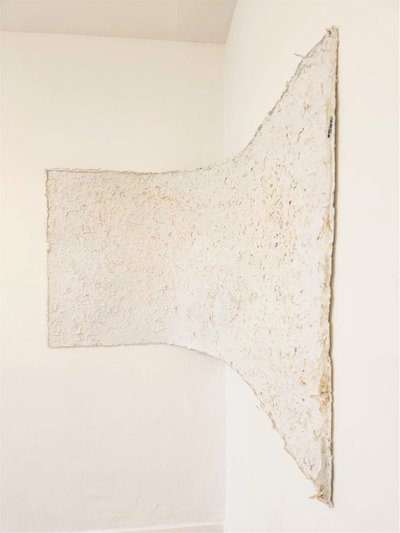 Untitled pulp sheet #6 preview