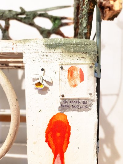 <p data-block-key="wusdh">silent oath</p> preview