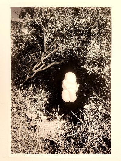 Internal spaces preview