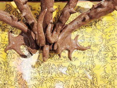 0a20575f8f3ee76e19ee235f76b17689