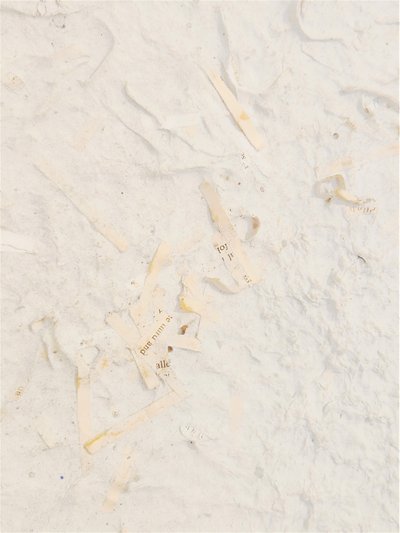 UntitledPulpSheet6Detail2