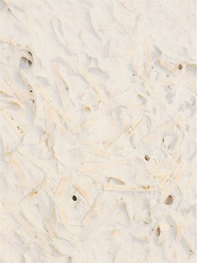 UntitledPulpSheet6Detail3