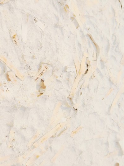 UntitledPulpSheet6Detail5