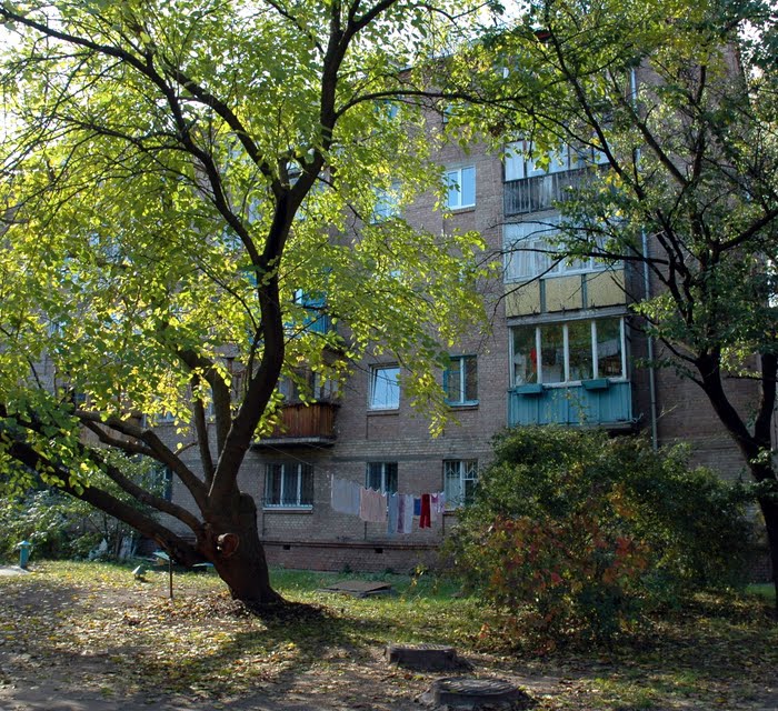 Вишгородська вул, 46Б