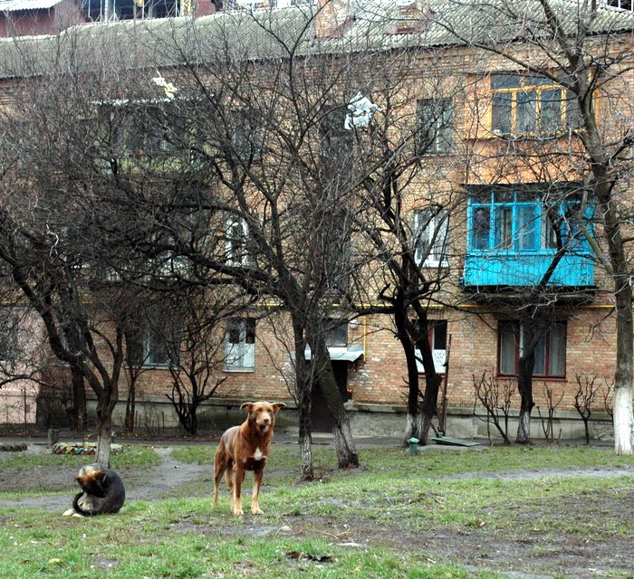 Глінки вул, 1 4