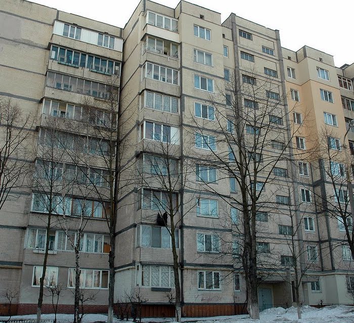 Корольова Академіка просп, 8