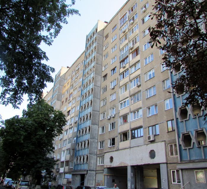 Мирного Панаса вул, 11