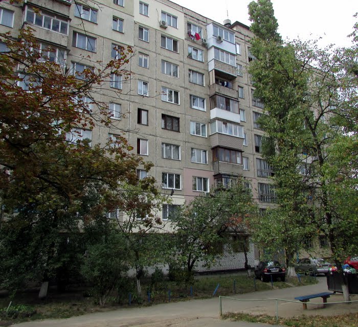 Курбаса Леся просп, 12Б 0