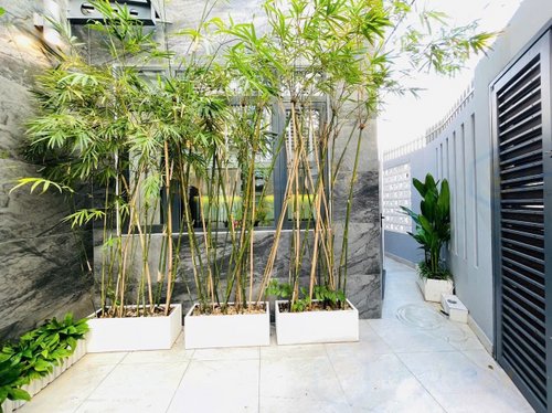 HouseZy - Cần bán căn góc kiểu villa HXH Hoàng Hoa Thám,P6, Bình Thạnh. 10x12m. Giá: 17,5 tỷ