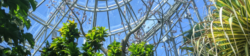 Cockrell Butterfly Center | Houston Charter Bus Services