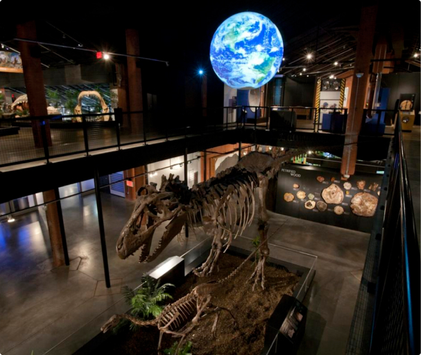 Houston Museum of Natural Science