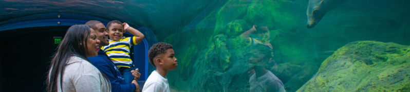 Houston Zoo | Charter Bus Services