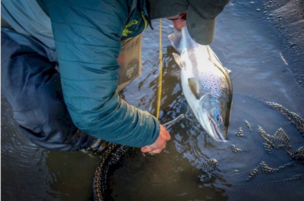 A great fishing trip to the Rio Grande when life was normal. - Grapevine  Stories