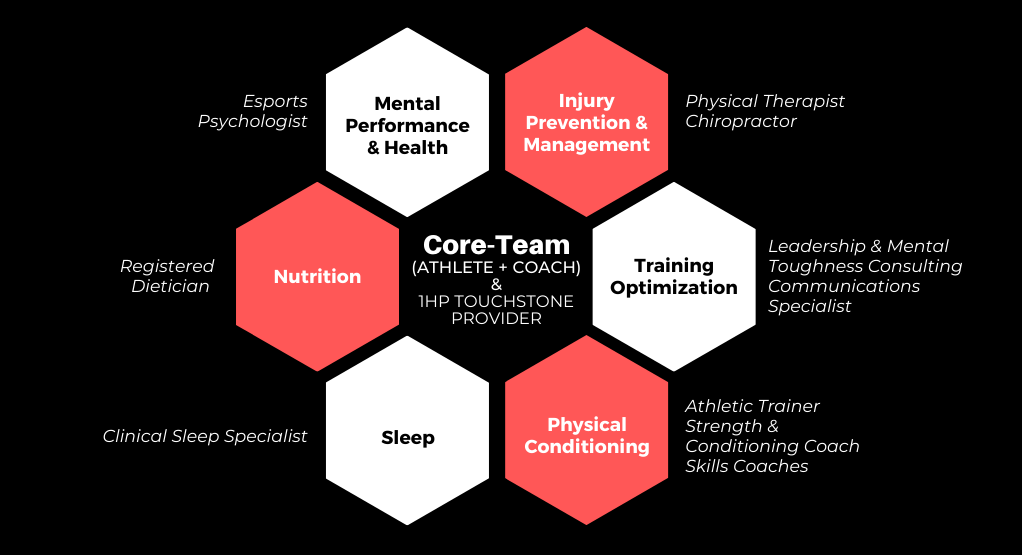The Multidisciplinary Esports Medicine Team