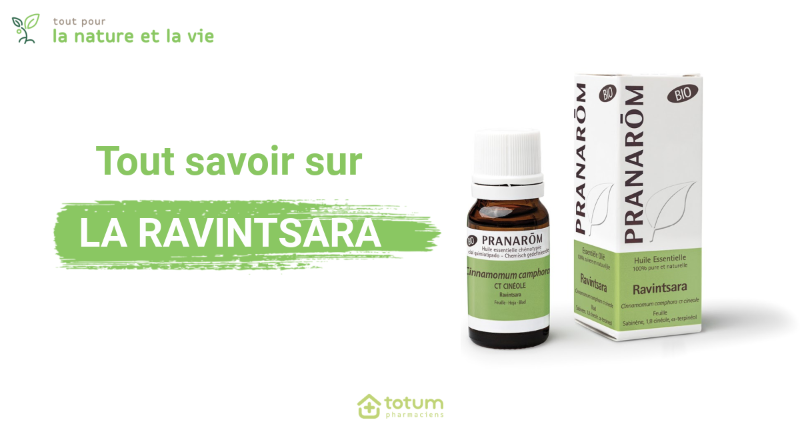 L'huile essentielle de ravintsara, un antiviral puissant