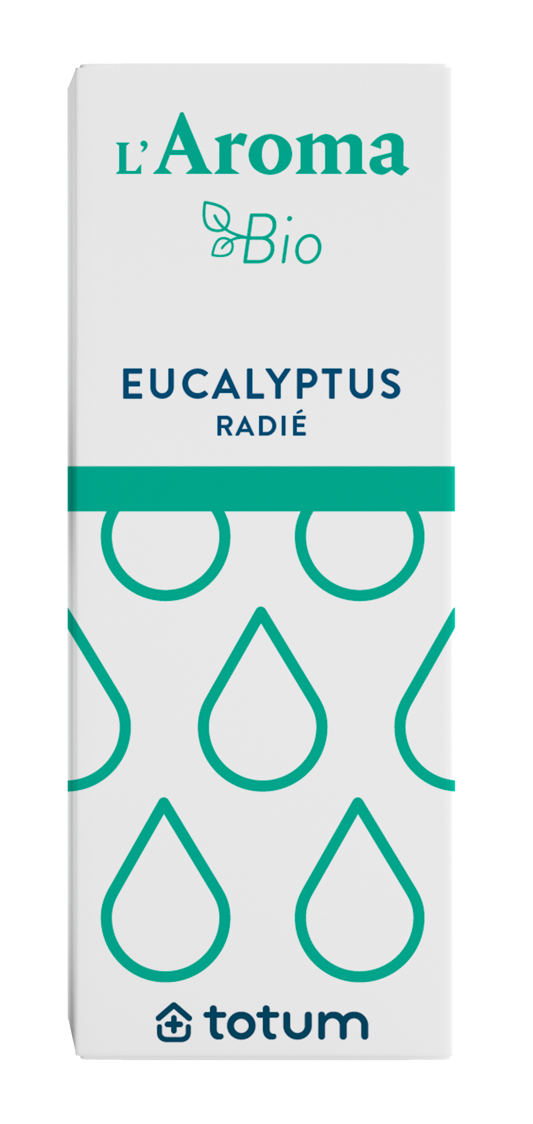 Eucalyptus radié bio