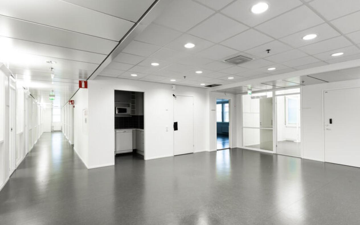 metsänneidonkuja 8 spektri trio - Image 9