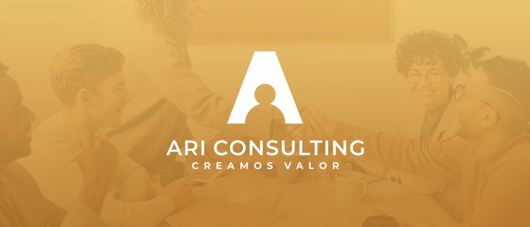 ARI Consulting banner