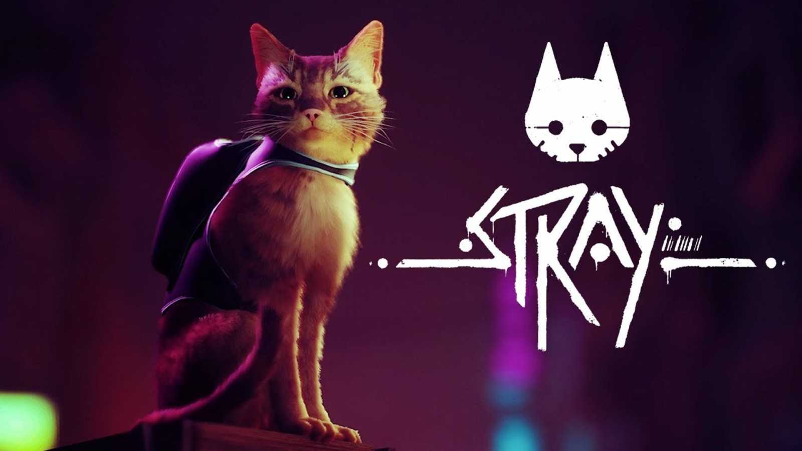 Adventura Stray se ukázala v gameplay záběrech. Zatoulaná kočka přicupitá až příští rok