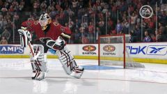 NHL 08