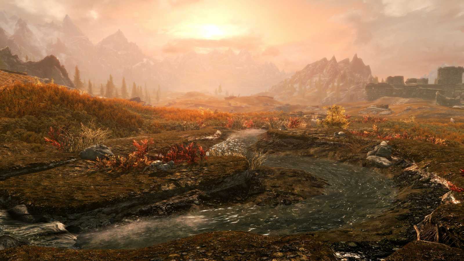 Vývojář naznačil, kdy se objeví detailní informace o The Elder Scrolls 6