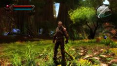 Kingdoms of Amalur: Re-Reckoning