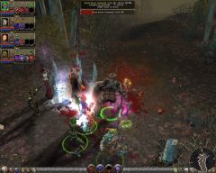 Dungeon Siege II: Broken World