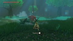 The Legend of Zelda: Breath of the Wild - The Master Trials