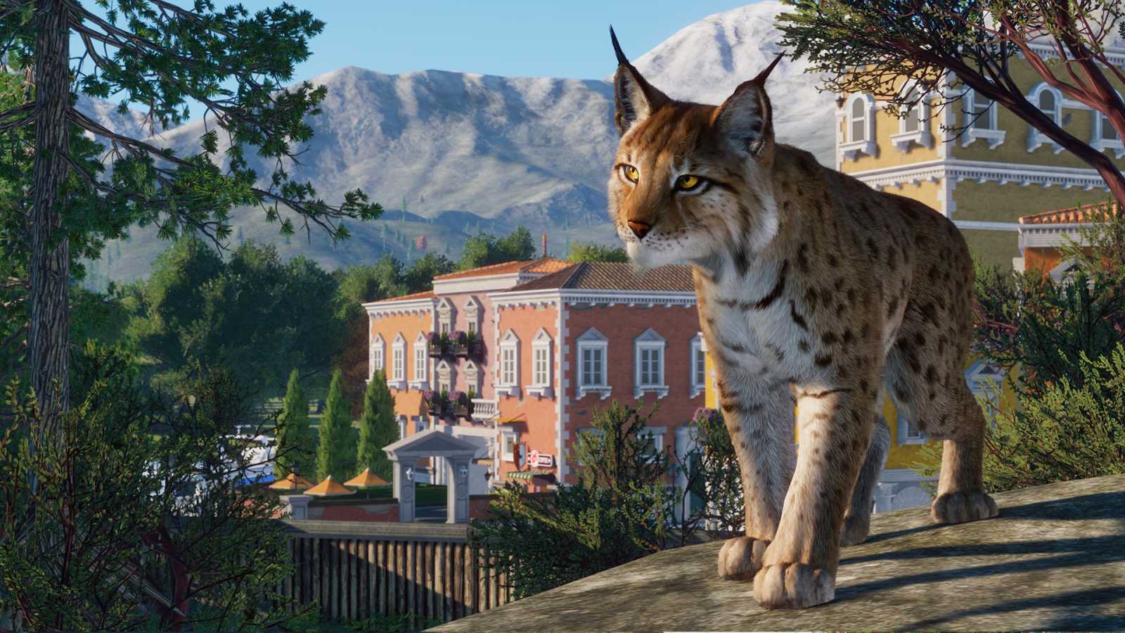 Planet Zoo k Vánocům naděluje evropské DLC s rysem nebo jezevcem a aktualizaci s restauracemi