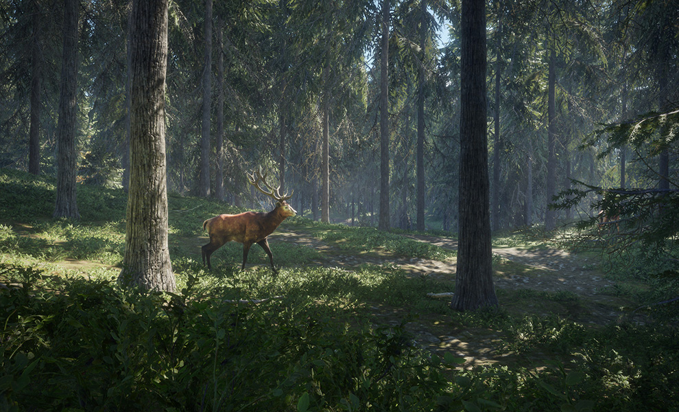 theHunter: Call of the Wild vyjde na konzolích