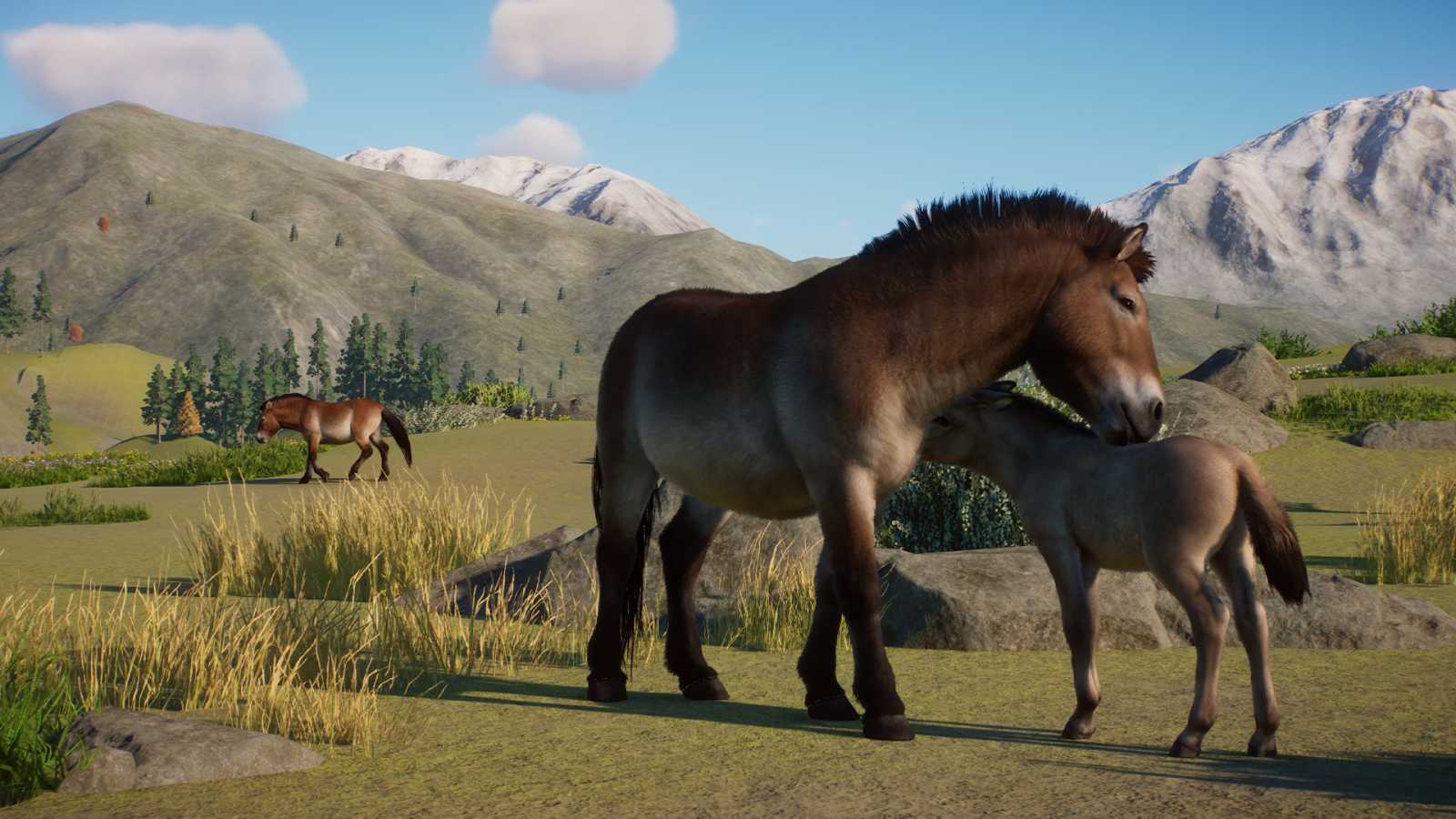 Conservation Pack přináší do Planet Zoo ohrožená zvířata. Nechybí pražská chlouba - kůň Převalského