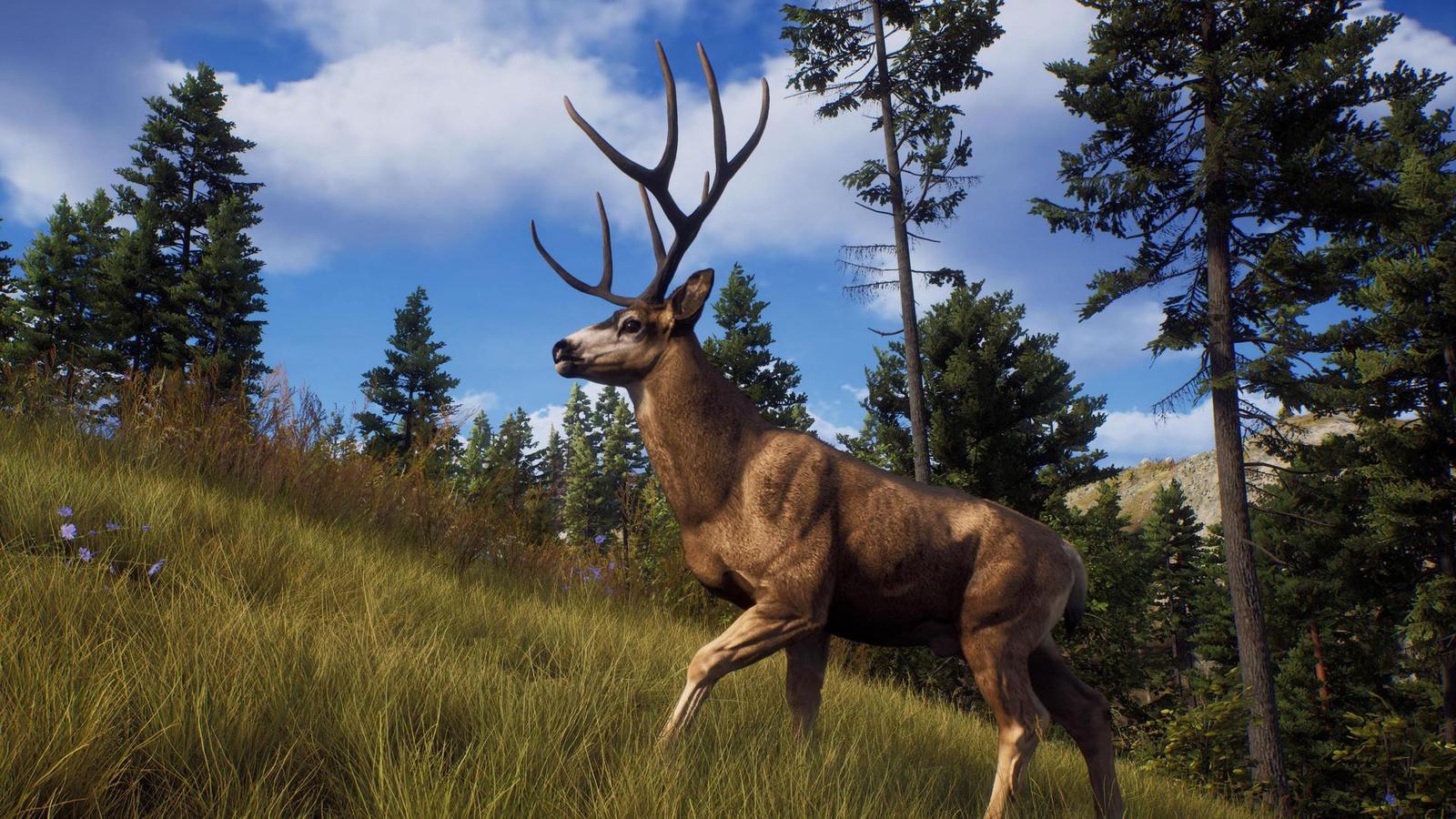 Slovenský herní průmysl zaznamenal výrazný pokles