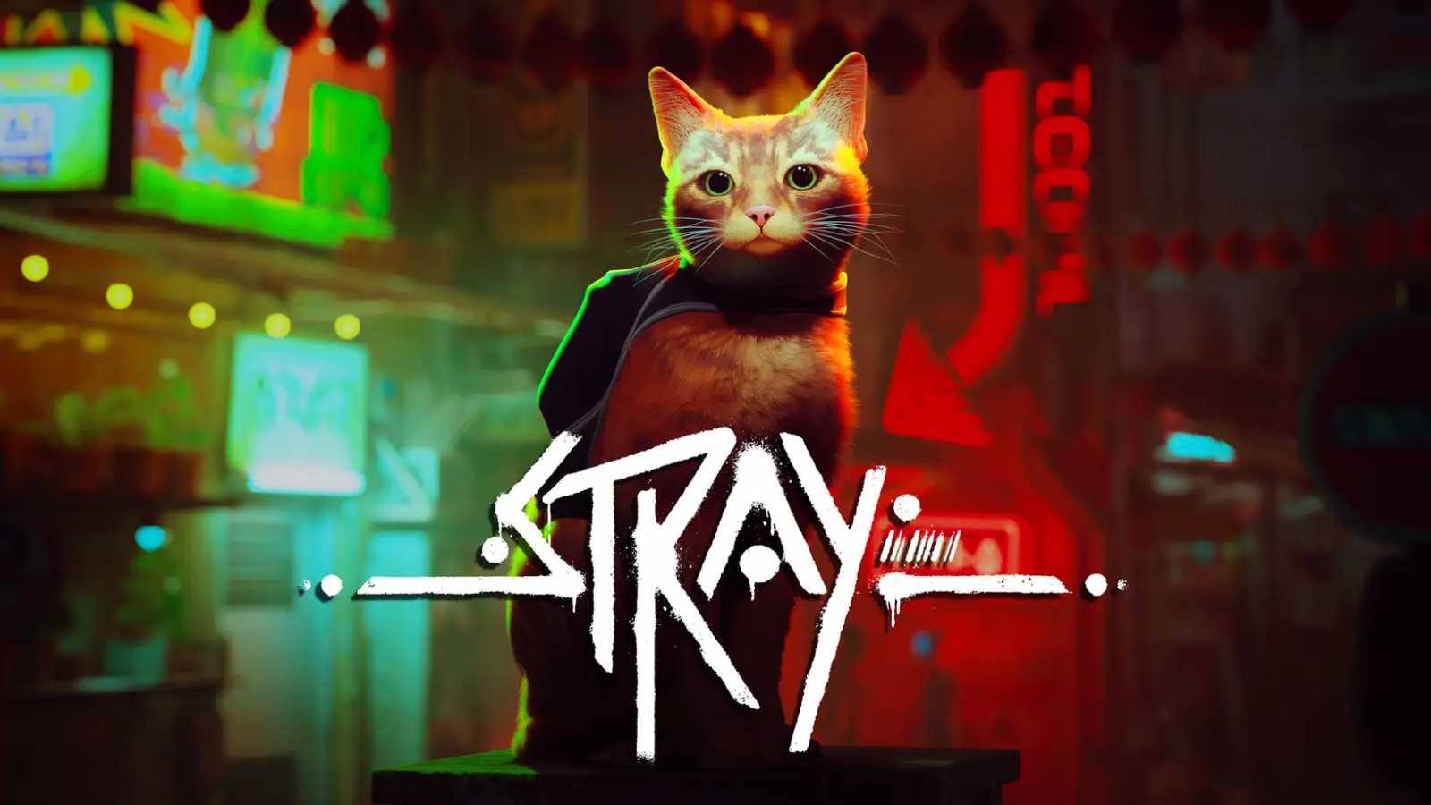 Stray dorazí v červenci. Kočičí eskapády budou k dispozici v rámci služby PlayStation Plus