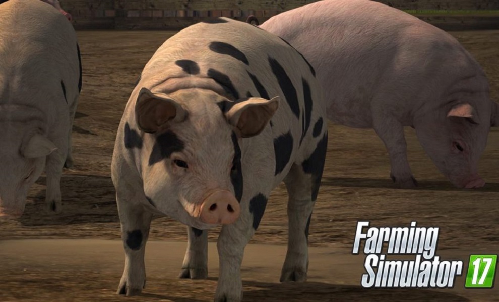 „Farming Simulator 17 by měl ukázat i jatka“