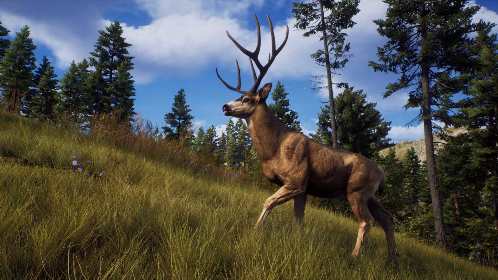 Snažil jsem se recenzovat Way of the Hunter, ale kořistí jsem se nakonec stal já