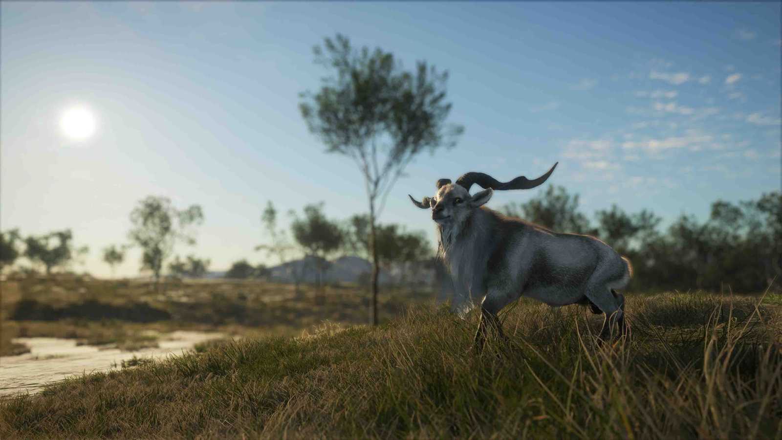 TheHunter Call of the Wild se vydává do Austrálie. DLC přidává mapu, kořist i zbraně