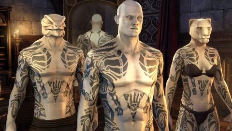 ZeniMax se omlouvá za využití fanouškovského obrázku v placeném skinu pro The Elder Scrolls Online