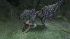 Monster Hunter Freedom 2