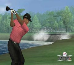 Tiger Woods PGA Tour 08