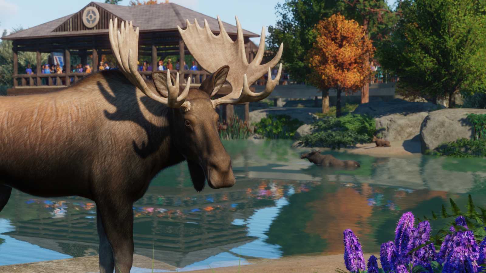 Do Planet Zoo míří balíček severoamerické zvěře. Přináší lachtany, bobry nebo losy