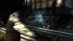 Dark Sector