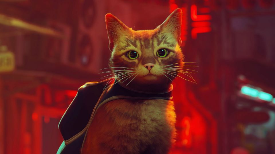 Kočičí Stray dostalo věkové hodnocení pro konzole Xbox
