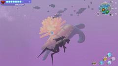 Pozadí pod obrázkem