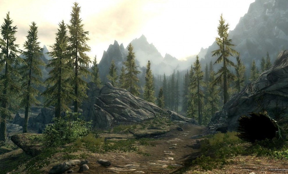 Skyrim na Switch hned tak nedorazí