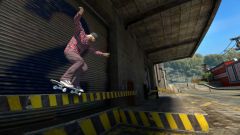 Skate 3