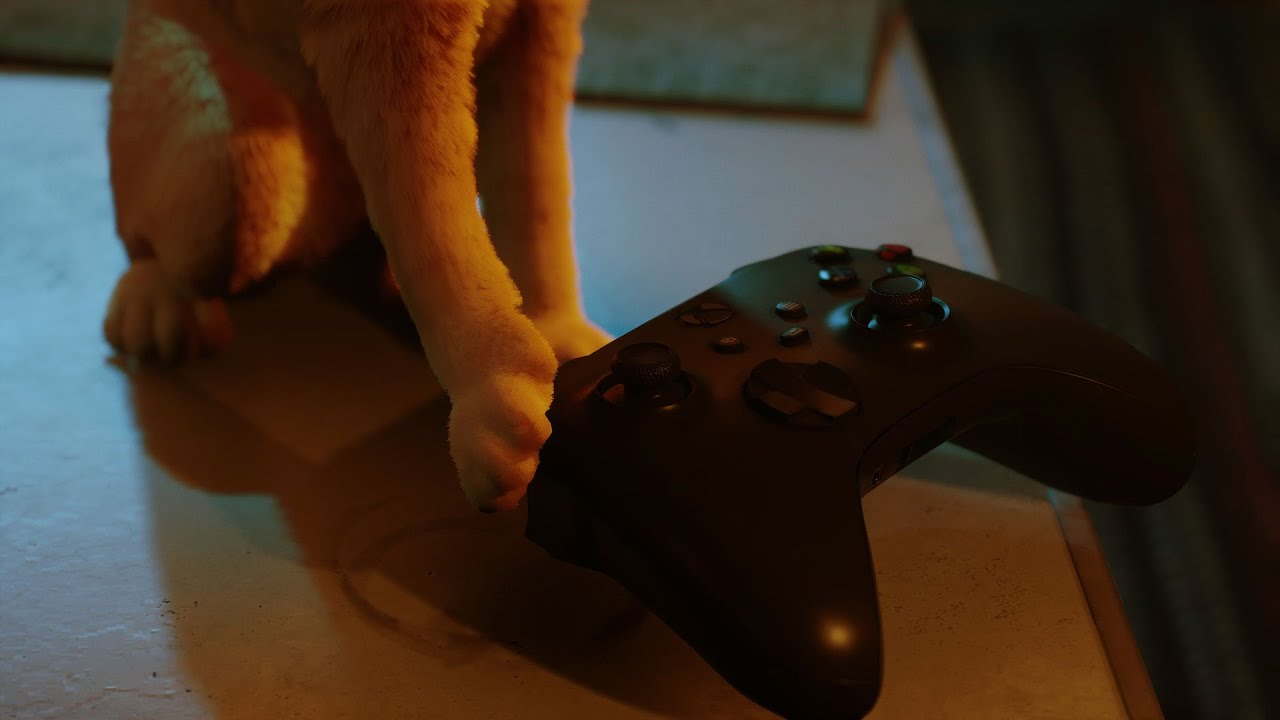 Stray oficiálně míří už i na Xbox. Událost oznamuje vtipný trailer s kočkou a Xbox ovladačem