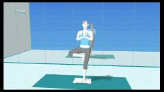 Wii Fit (+ videorecenze)