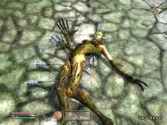 TES IV: Oblivion - meganávod 3. část