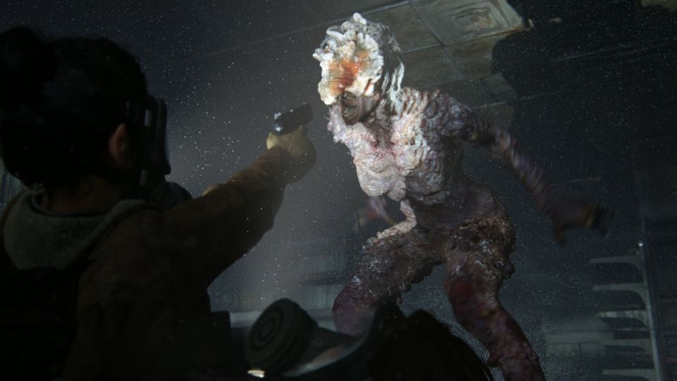 Mykologové připomínají, že houby jako v The Last of Us člověka nenapadnou. Normálně se konzumují